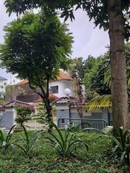Florence Road (D19), Detached #595850621
